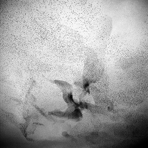 Big Picture: Starlings: Black and white photograph of starlings in the sky