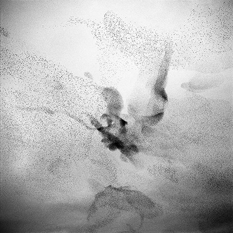 Big Picture: Starlings: Black and white photograph of starlings in the sky
