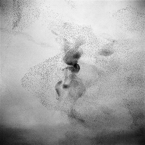 Big Picture: Starlings: Black and white photograph of starlings in the sky