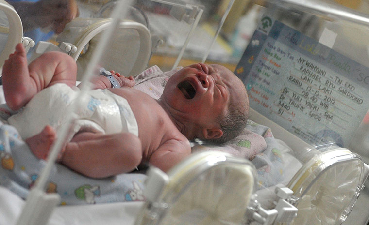 December 12 2012: A newborn baby, one of 12 babies 