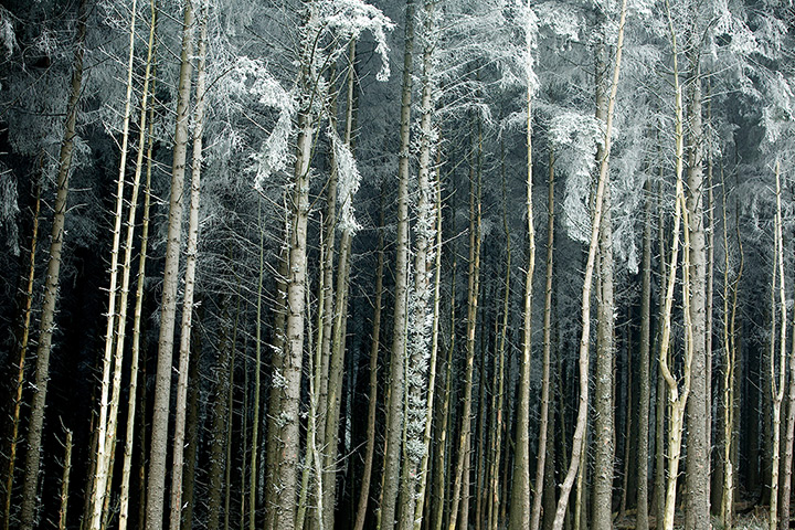 Freeze update: Wintry weather in Belmont, Lancashire