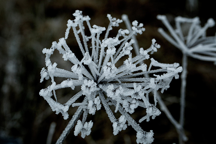 Freeze update: Wintry weather in Belmont, Lancashire