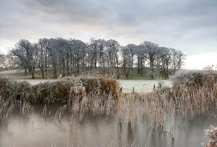 Week in wildlife: Frost covers the fields and trees around Arundel, West Sussex