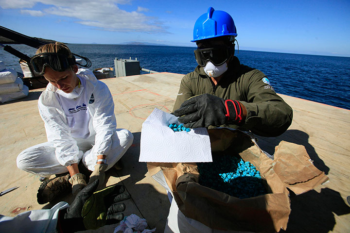 Galapagos Pinzon Island: eradicate the rodent population
