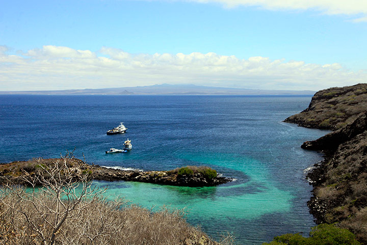 Galapagos Pinzon Island: eradicate the rodent population