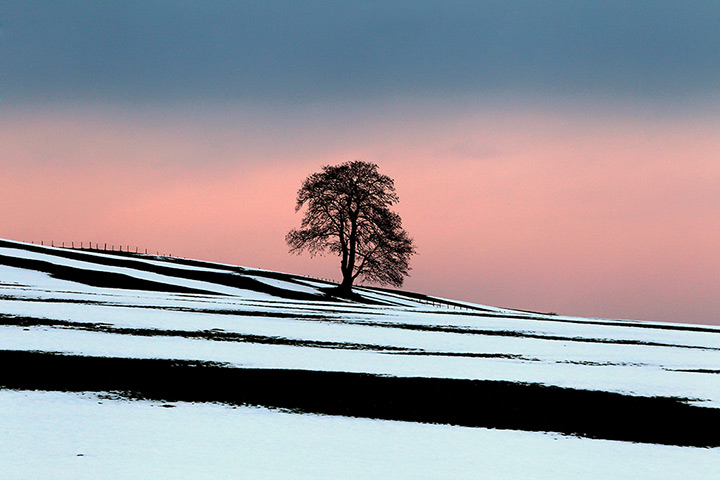24 hours: Guenzach, Germany: Partially melted snow in a field 