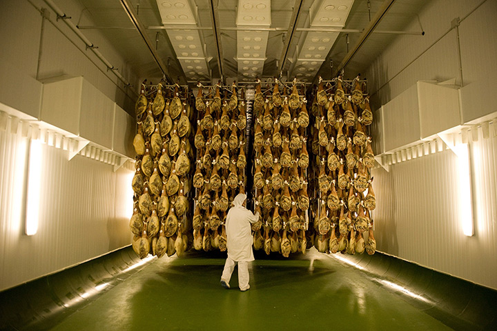 Pigs in Spain: A worker from the Estrella de Castilla factory checks Jamon