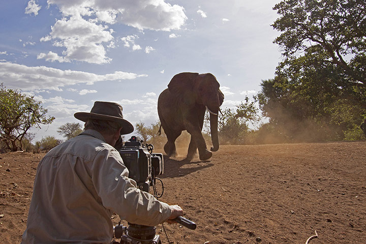 BBC Africa : BBC cameraman filming in Africa
