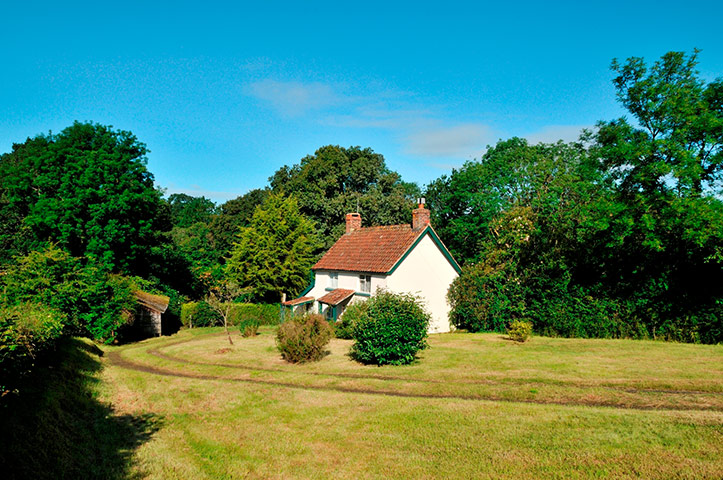 Snooping around : Curland, Taunton, Somerset 