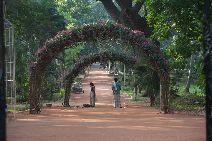 Life of Pi: Pondicherry botanical garden