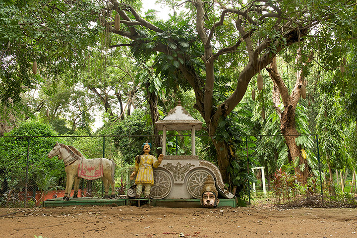 Life of Pi: Botanical Gardens in Pondicherry India