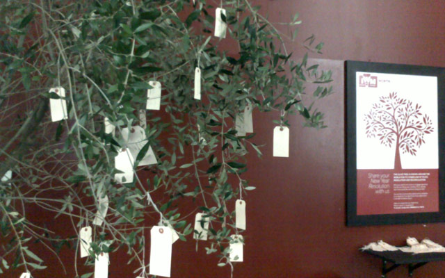 xmasculture: Olive tree at IWM North