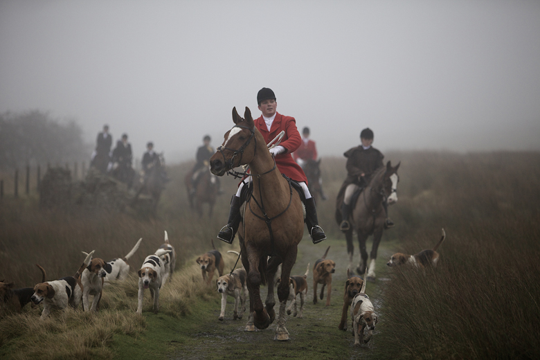 holcombe hunt