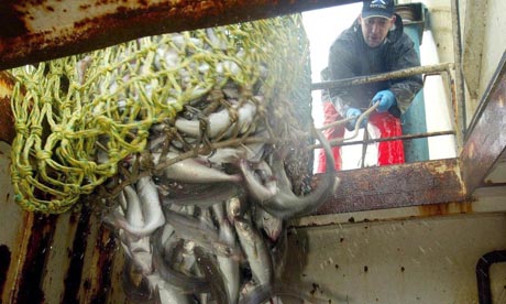 Deal  Fishing on Sea Fish Quotas