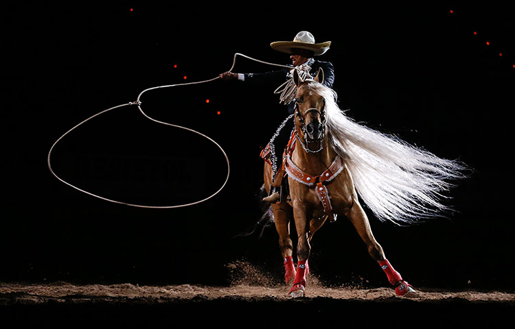 20 Photos: Rodeo performer