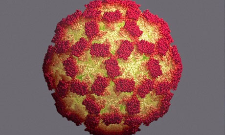 Norovirus