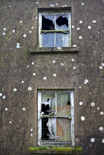 Your Pictures: A long-abandoned house, can regenerate things: moss, lichen, fungus