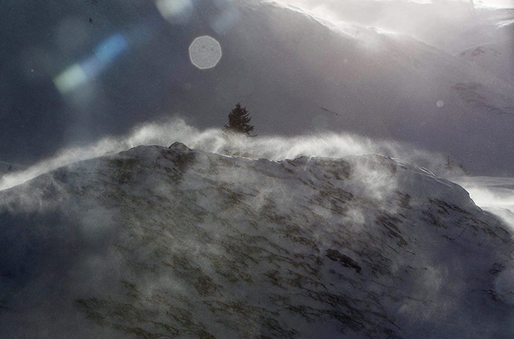 Week in Wildlife: Foehnwind in Switzerland