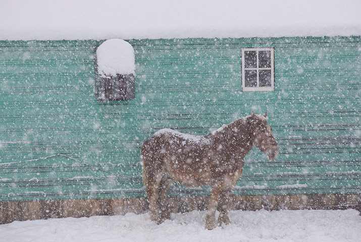 20 Photos: Snow emergency declared in Wisconsin