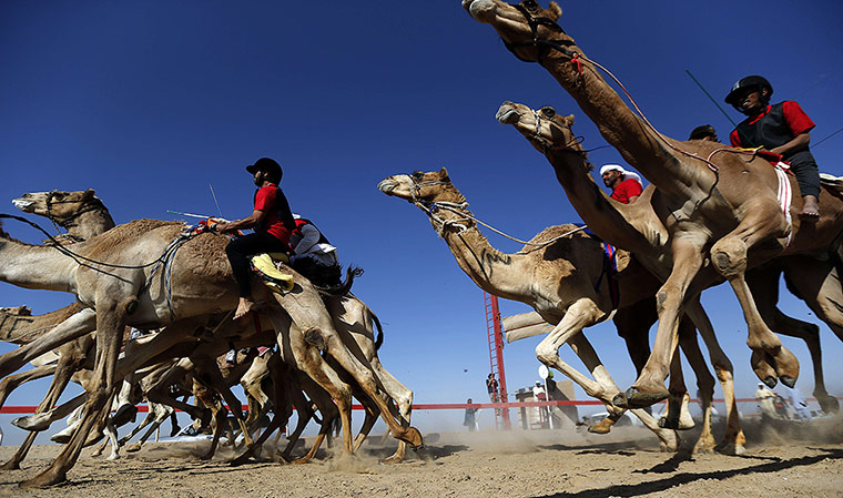 24 hours: Jockeys compete during the Mazayin Dhafr
