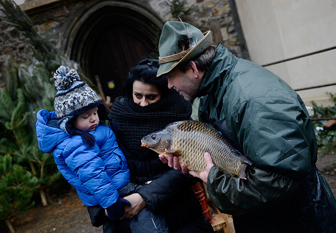 24 hours: Prague, Czech Republic: A street vendor shows a carp