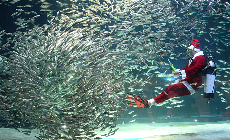 Global Santa Claus : Santa Claus