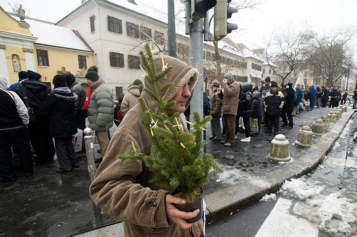 24 hours in pictures: A man carries a small Christmas tree
