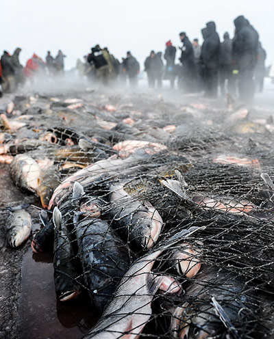24 hours in pictures: Fish caught by fishmen during an ice fishing festival
