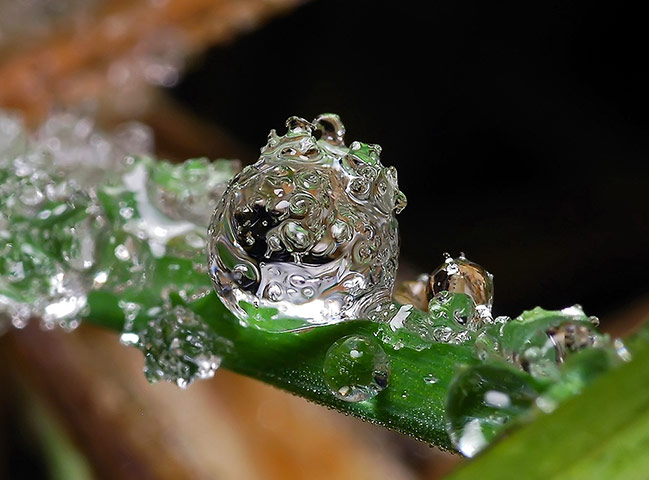 Droplets Gallery: Droplets by Andrew Osokin