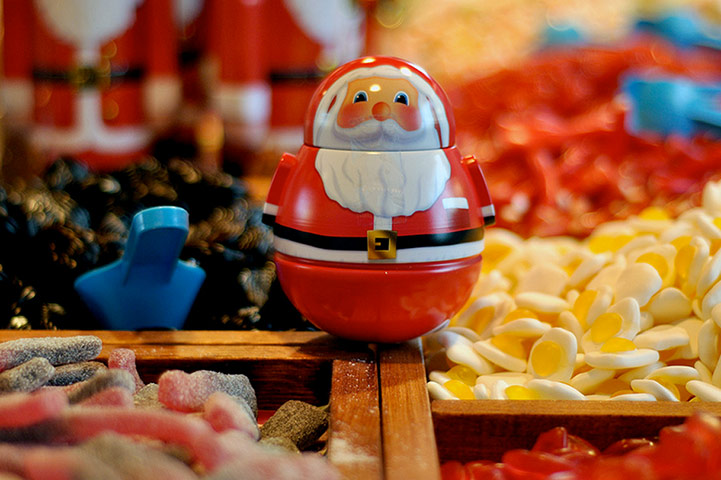 Guardian Camera Club: Tim Dennell participates in the depth of field assignment