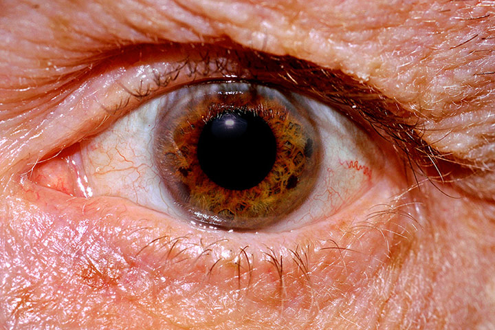 Guardian Camera Club: Tim Dennell participates in the depth of field assignment