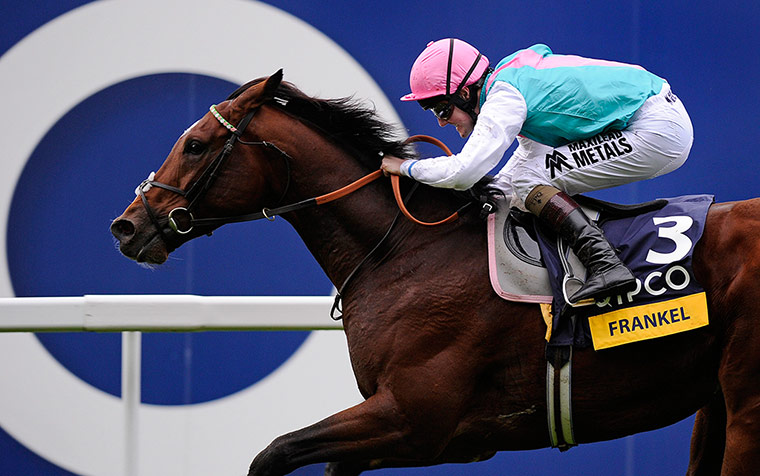 tom's best pics2: Champions Day racing Ascot