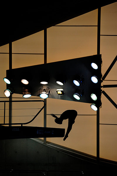 tom's best pics2: FINA Diving world cup