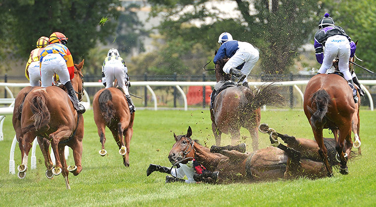 The week in sport: Ryan Maloney