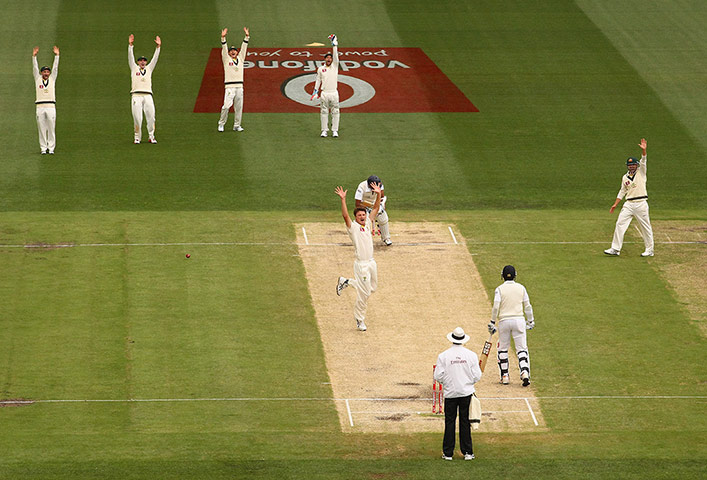 The week in sport: Australia v Sri Lanka