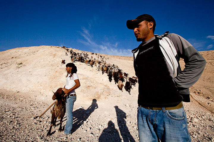 E1 project: Bedouins from the Jahalin tribe with their sheep
