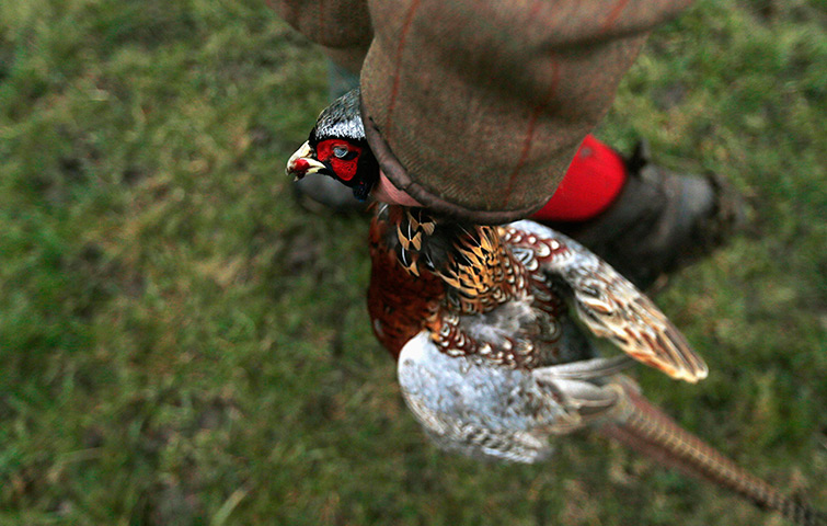 24 hours in pictures: A man holds a dead pheasant