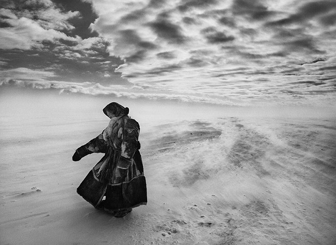 Salgado: Temperatures fall sharply the Nenets may spend days in the same place