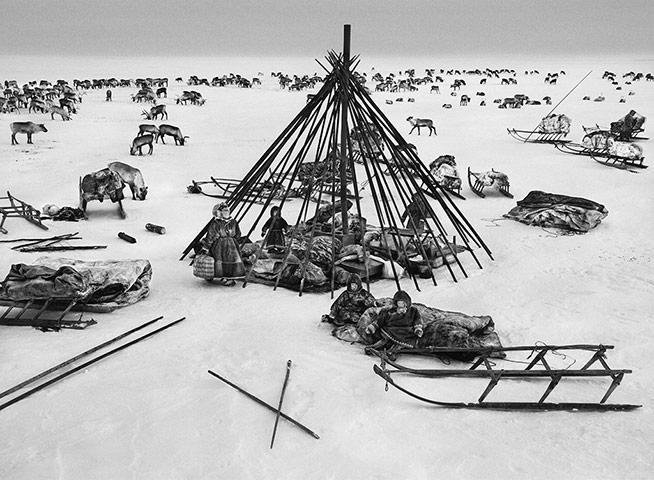 Salgado: At the end of the day, after leading the herd north across