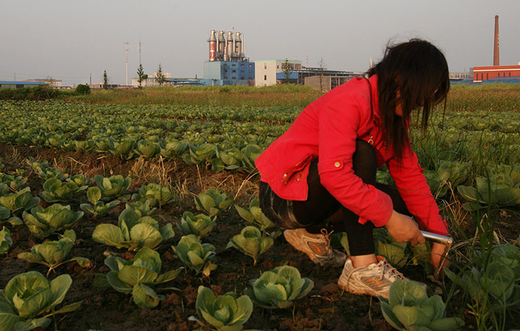 Chemical waste Pollution: 'Red River' Aftermath