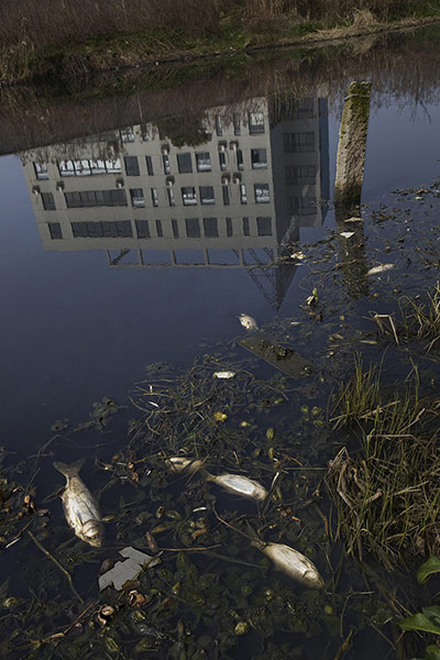 Chemical waste Pollution: Pollution in the Hangzhou Bay Area