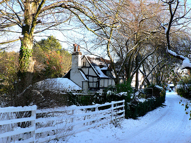 Your Pictures: quaint: What could be more quaint than this cottage in a quiet snowy lane