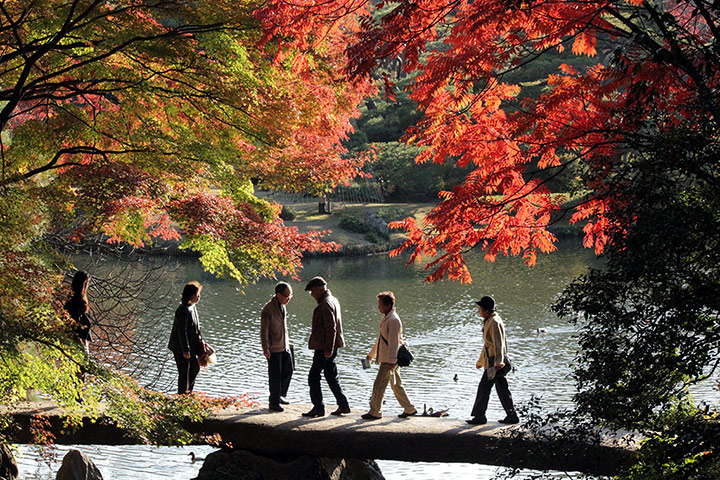 Healthiest cities: Tokyo Rikugien Garden elderly walkers