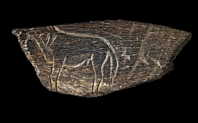 Ice age artifacts: A small fragment of bone that has been carved with the profile of a hors