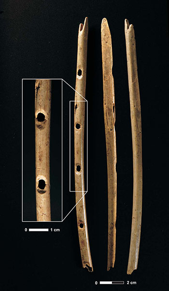 Ice age artifacts: A primitive flute made from the wing bone of a griffon vulture