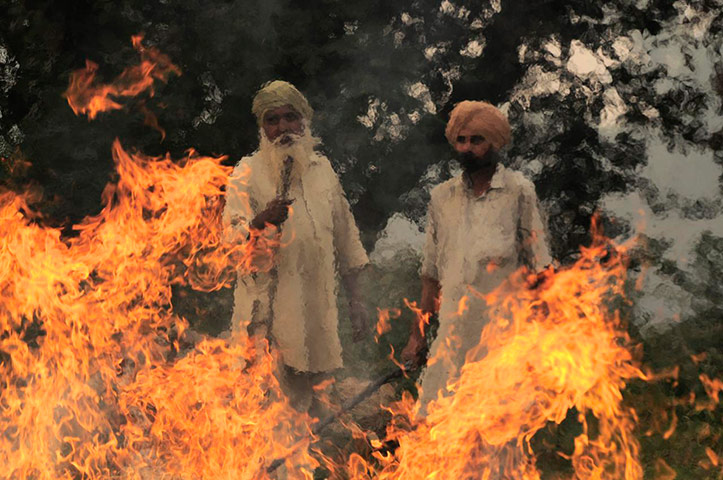 Fires in Penjab: Clearing of rice fields after harvest