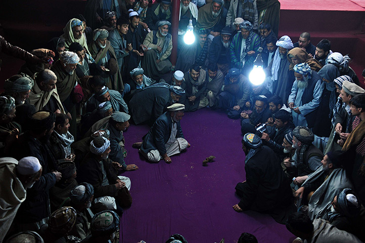 24 hours in pictures: Spectators watch a quail fight in Mazar-i Sharif, Afghanistan