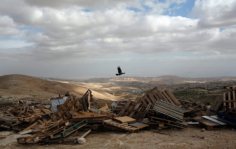 20 Photos: A bird flies over pieces of wood in an area near Jerusalem known as E1