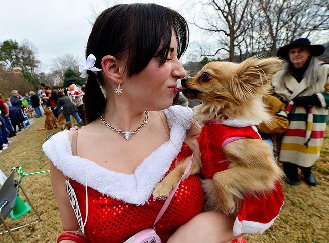 Reindog Parade: Reindog Parade at the Atlanta Botanical Garden