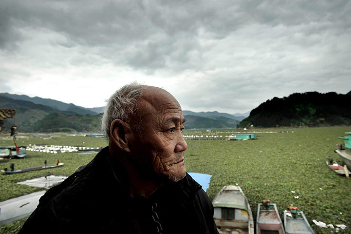 24 hours in pictures: Water Hyacinth Pollution In Fujian